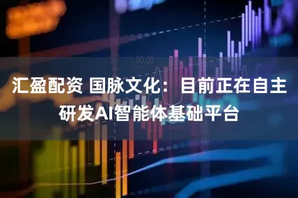 汇盈配资 国脉文化：目前正在自主研发AI智能体基础平台