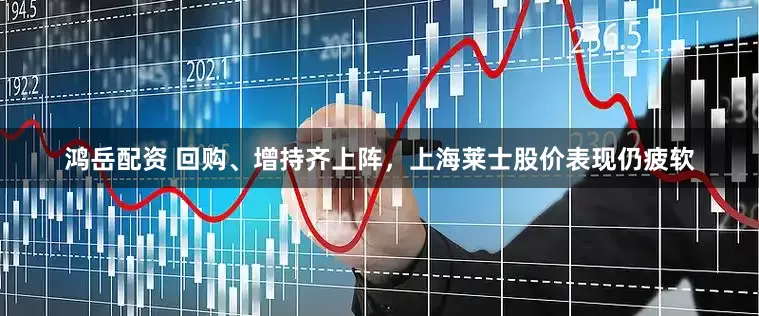鸿岳配资 回购、增持齐上阵，上海莱士股价表现仍疲软