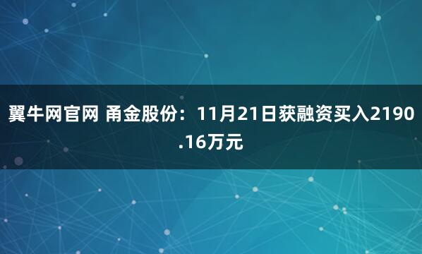 翼牛网官网 甬金股份：11月21日获融资买入2190.16万元
